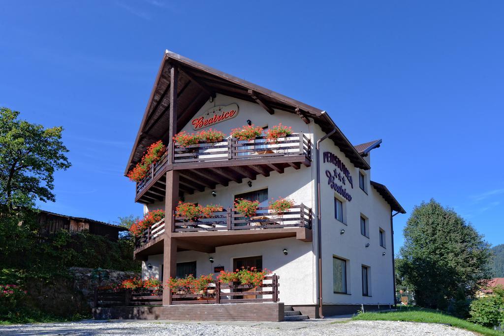Pensiunea Beatrice Vatra Dornei Exterior foto