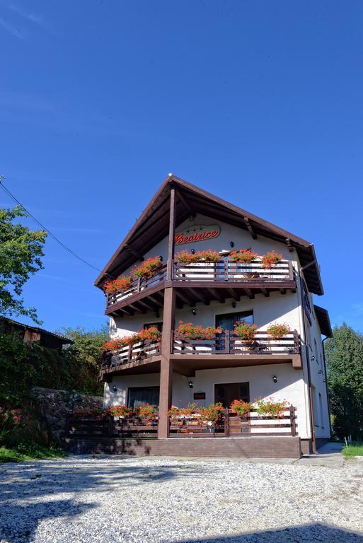 Pensiunea Beatrice Vatra Dornei Exterior foto