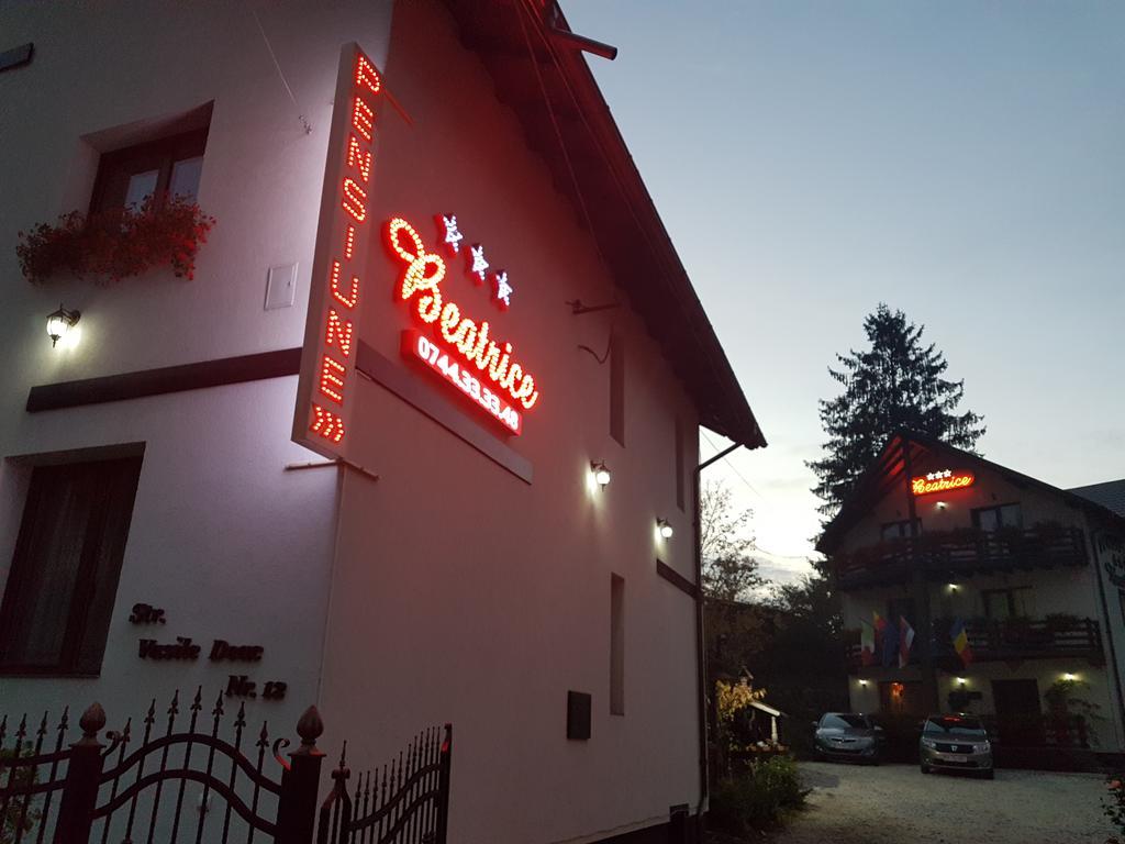 Pensiunea Beatrice Vatra Dornei Exterior foto